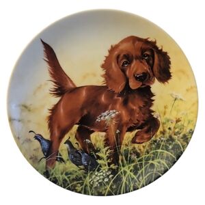 Vtg 1988 Irish Setter Field Puppies Missing Point United Kennel Club Dog Plate